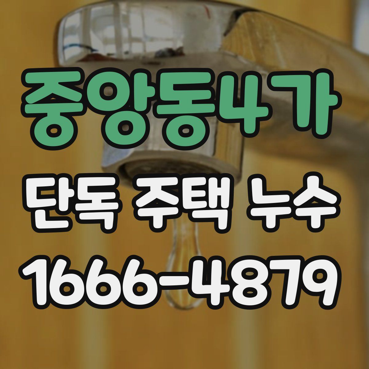 중앙동4가 단독 주택 누수
