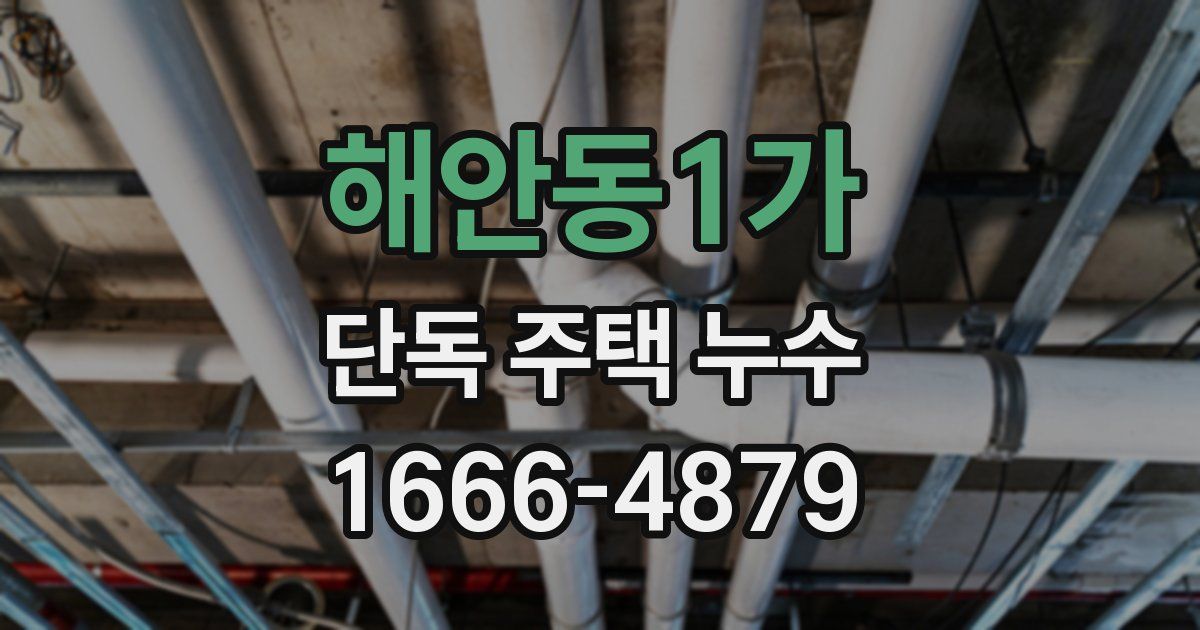 해안동1가 단독 주택 누수