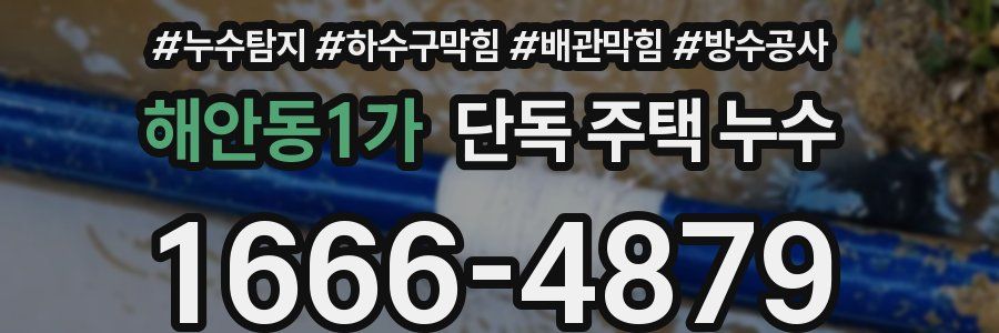 해안동1가 단독 주택 누수