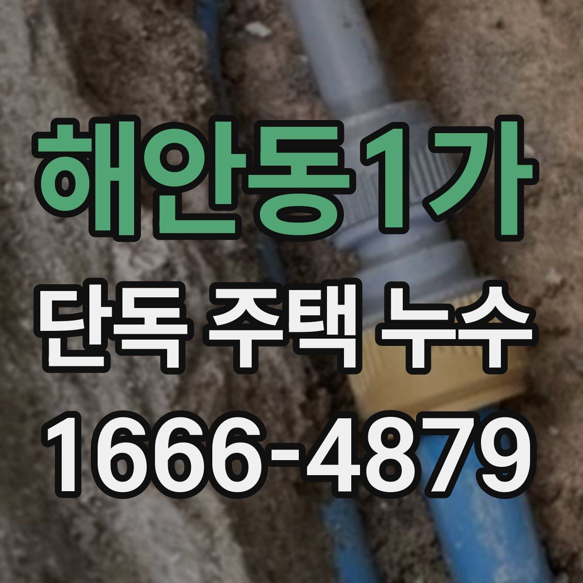 해안동1가 단독 주택 누수