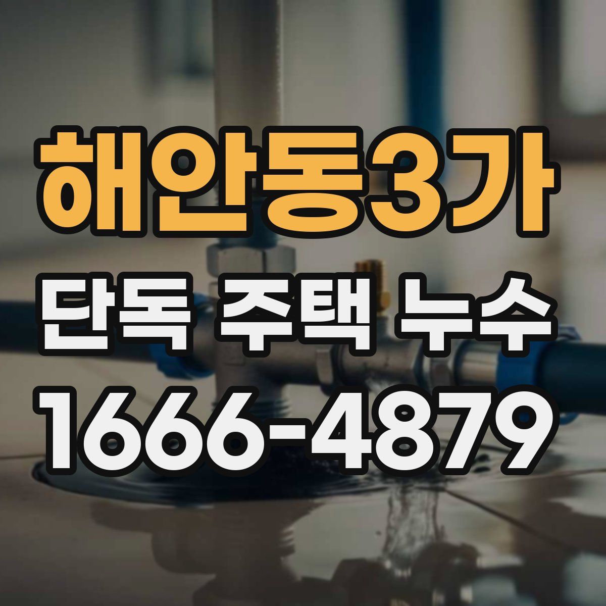 해안동3가 단독 주택 누수