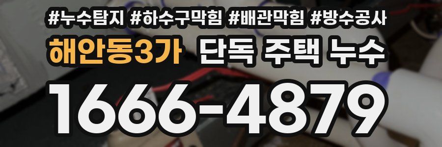 해안동3가 단독 주택 누수