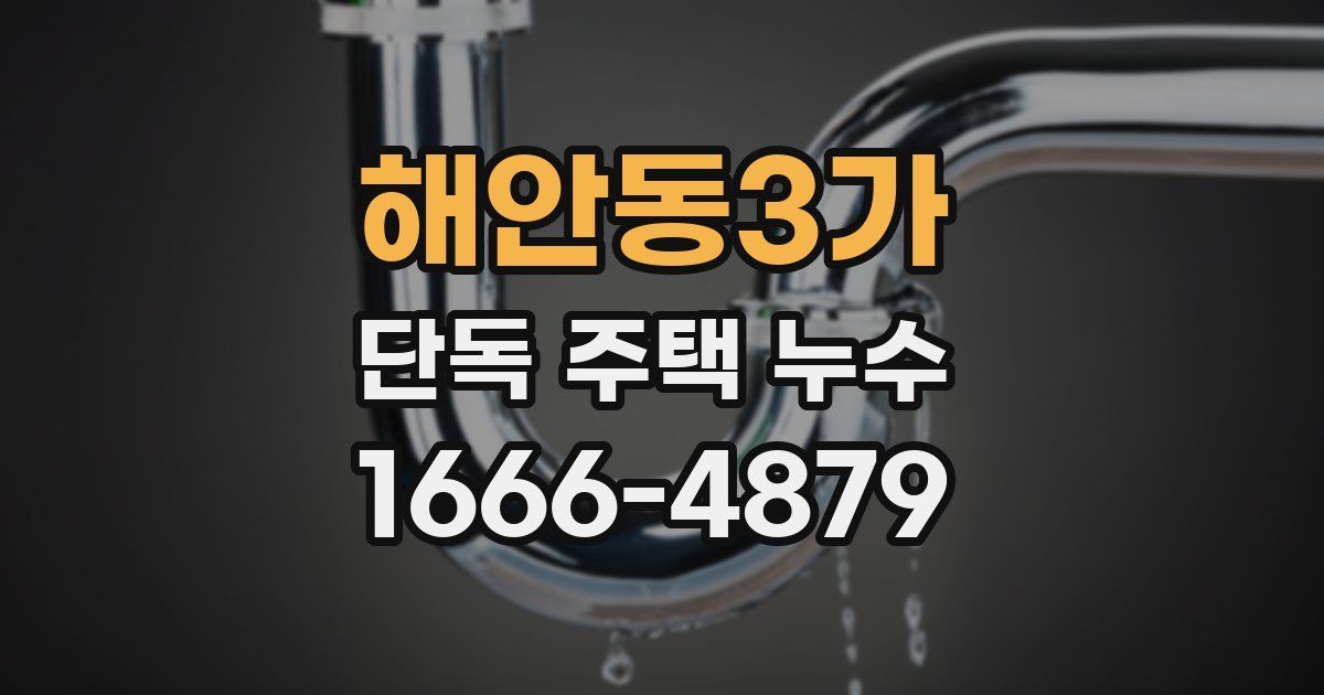 해안동3가 단독 주택 누수
