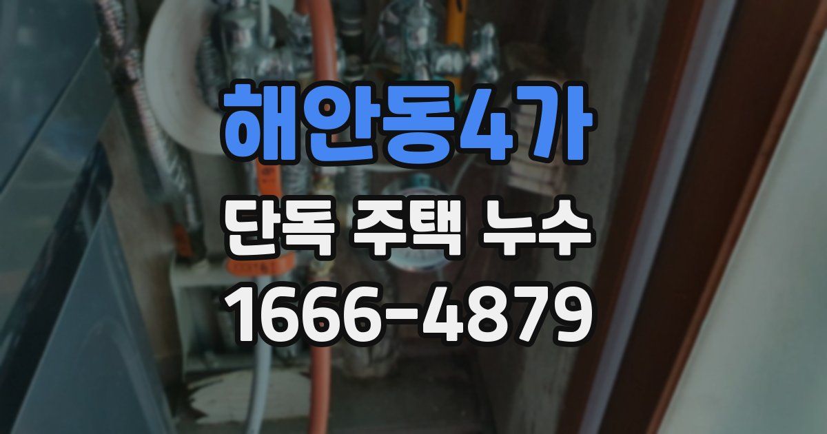 해안동4가 단독 주택 누수