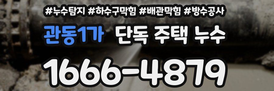 관동1가 단독 주택 누수