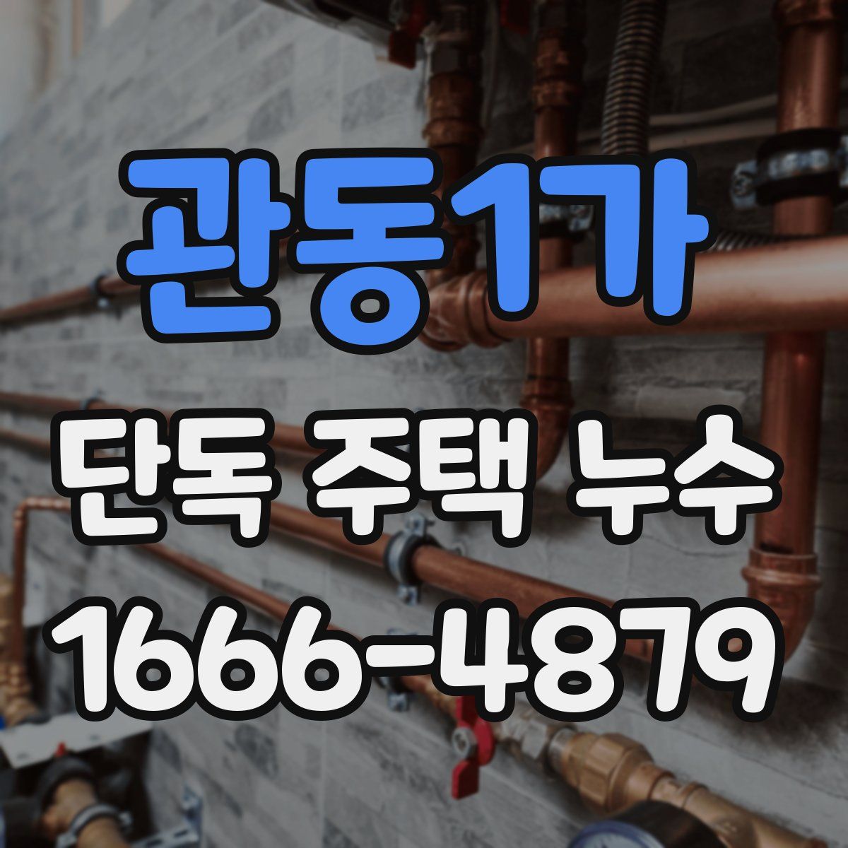 관동1가 단독 주택 누수