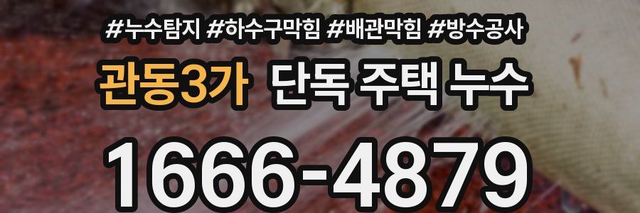 관동3가 단독 주택 누수