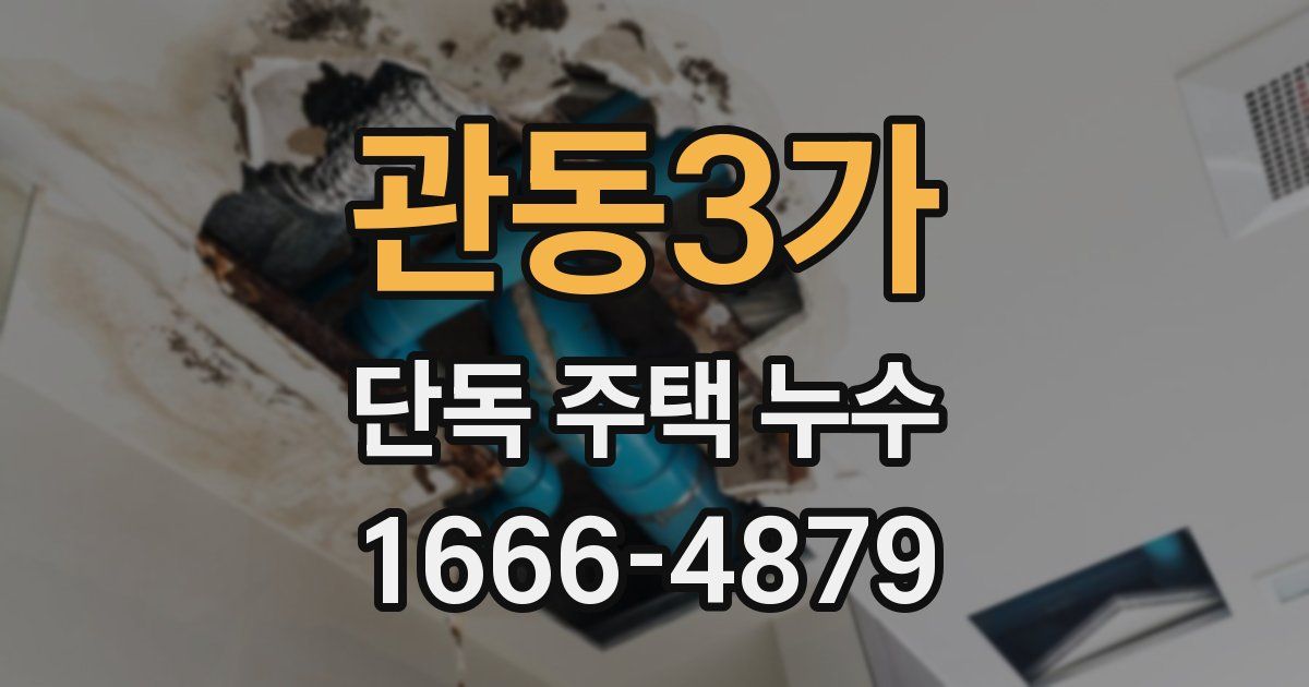 관동3가 단독 주택 누수