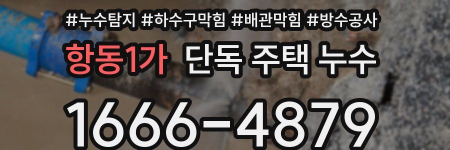 항동1가 단독 주택 누수