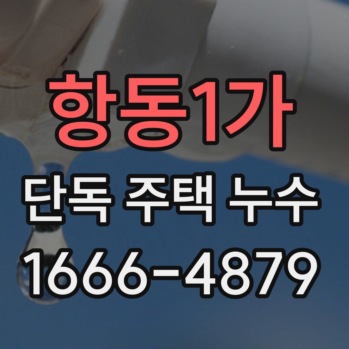 항동1가 단독 주택 누수