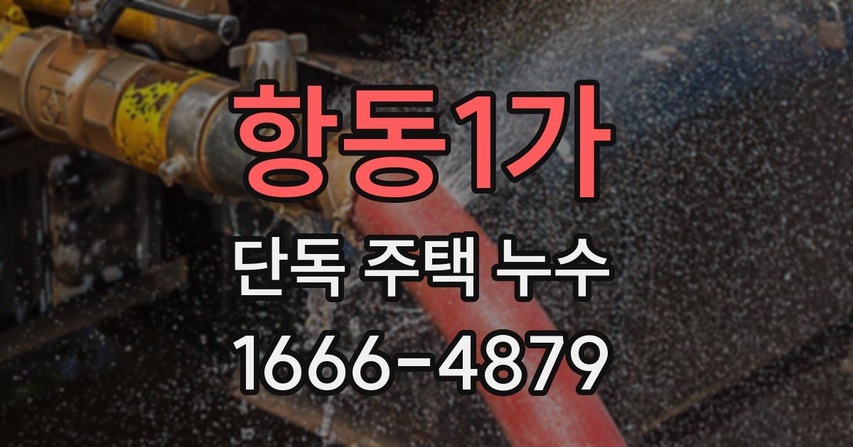 항동1가 단독 주택 누수