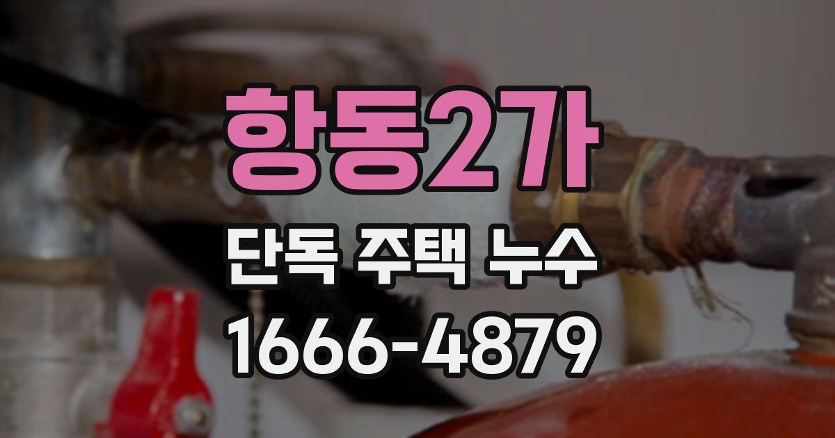 항동2가 단독 주택 누수