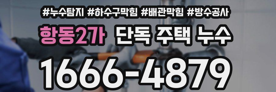 항동2가 단독 주택 누수