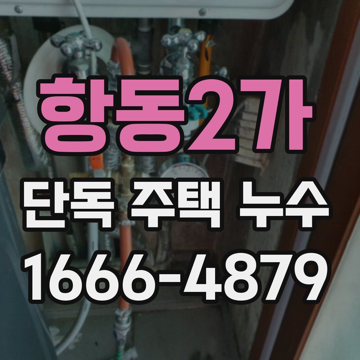 항동2가 단독 주택 누수
