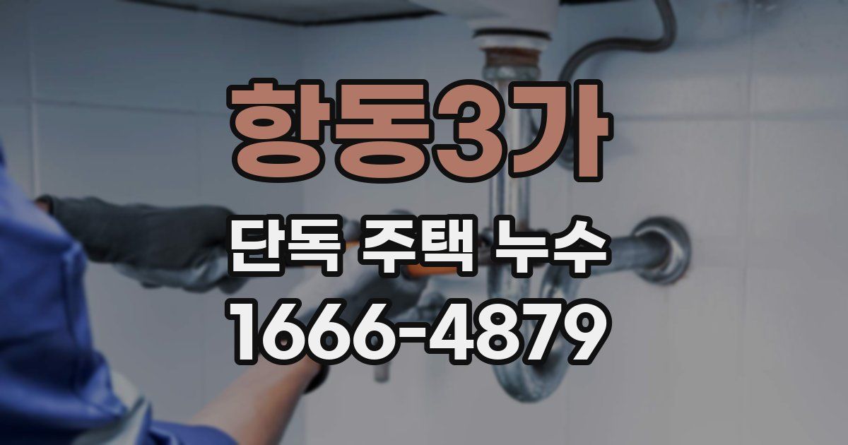 항동3가 단독 주택 누수