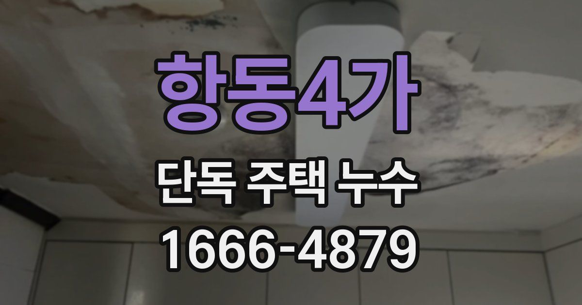 항동4가 단독 주택 누수