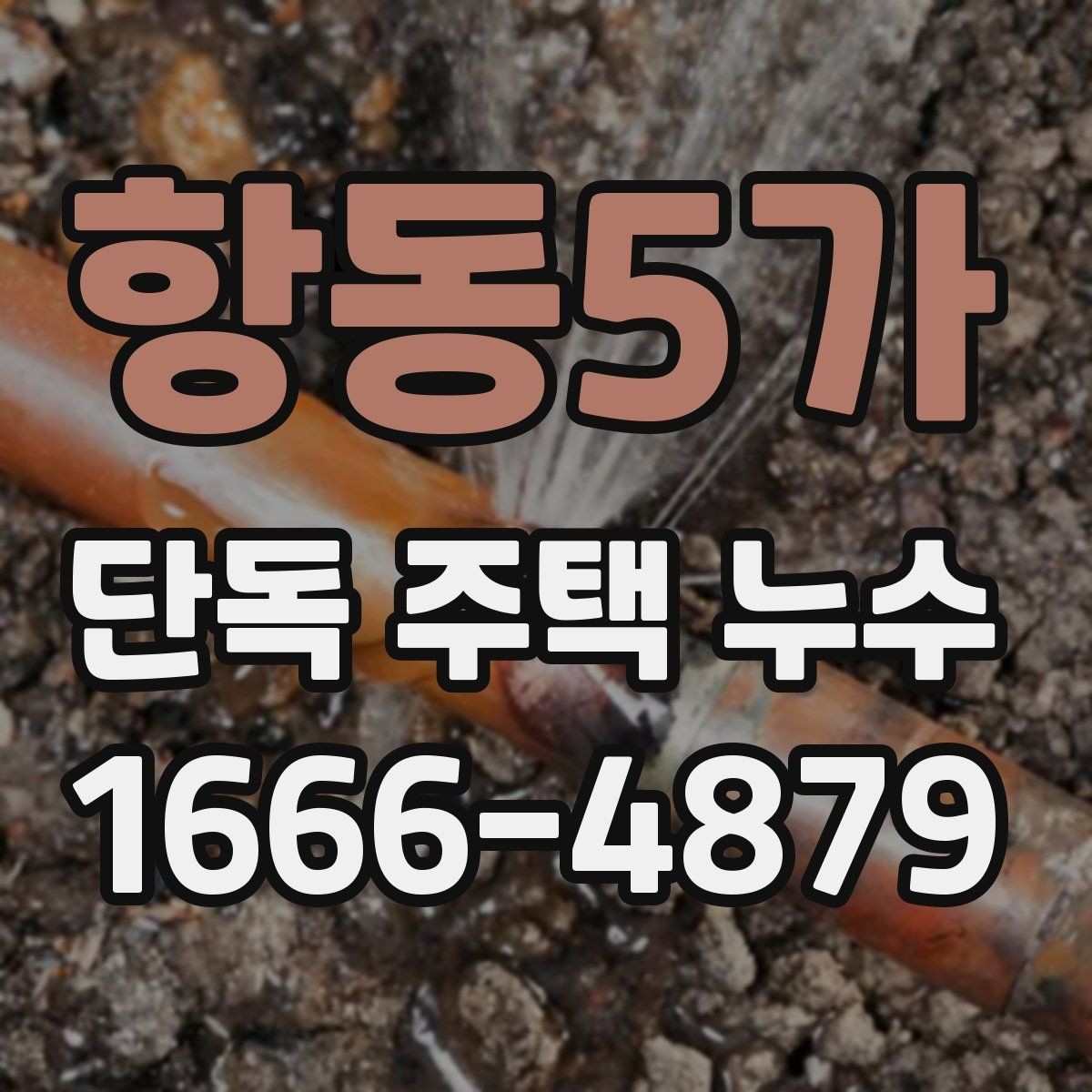 항동5가 단독 주택 누수 현장 조사 시 확인 항목