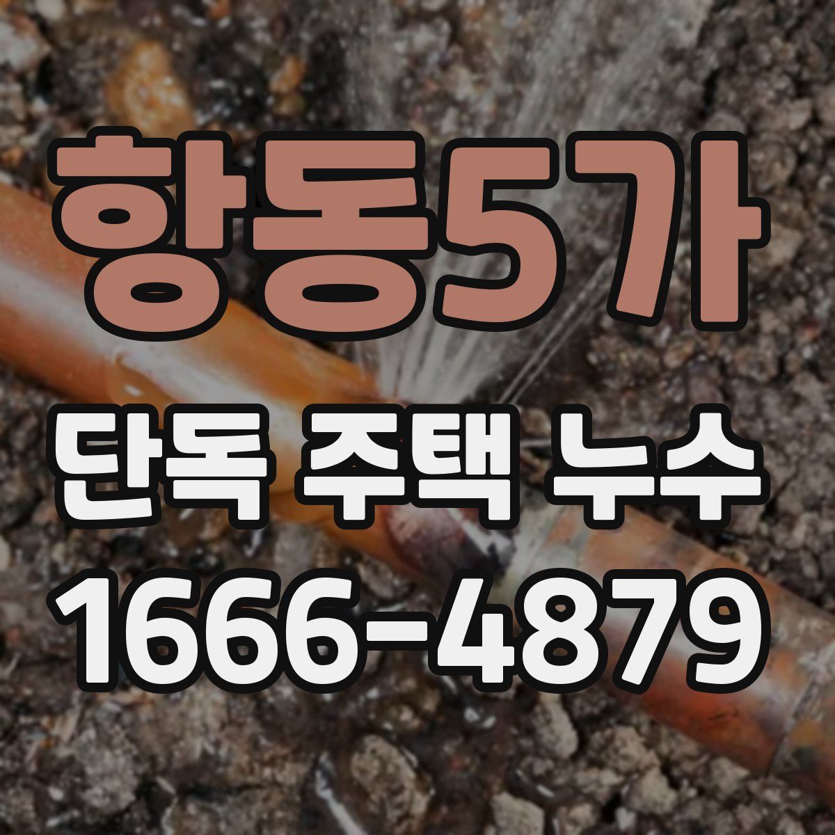 항동5가 단독 주택 누수