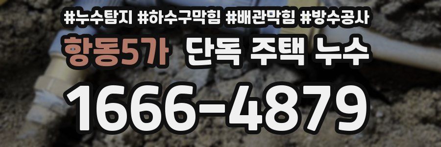 항동5가 단독 주택 누수