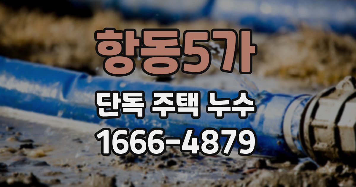 항동5가 단독 주택 누수