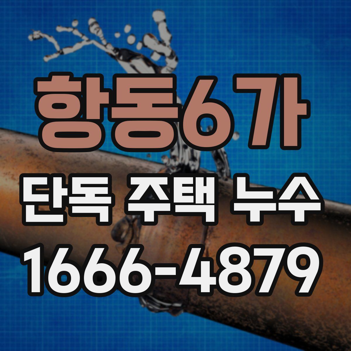 항동6가 단독 주택 누수