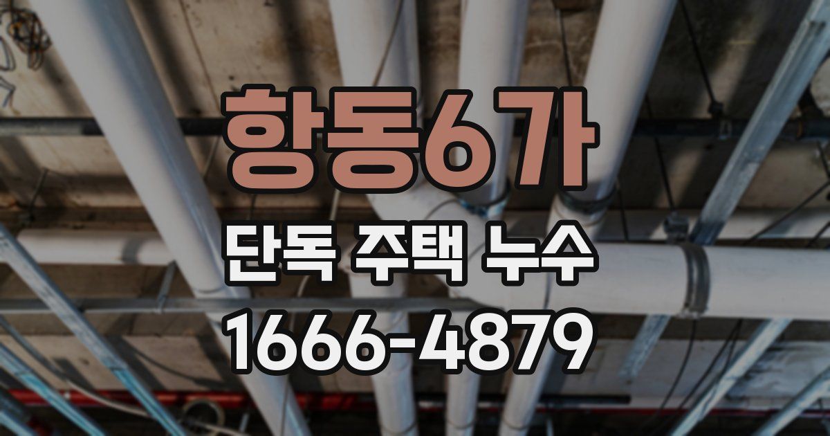 항동6가 단독 주택 누수