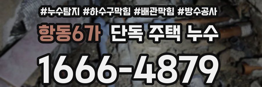 항동6가 단독 주택 누수