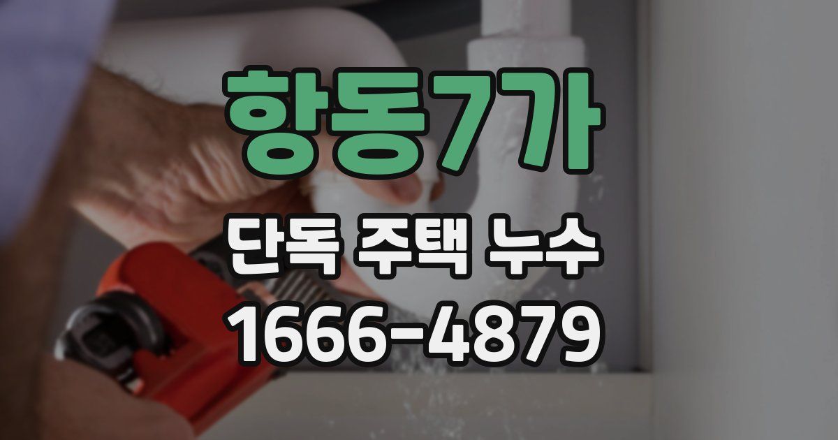 항동7가 단독 주택 누수