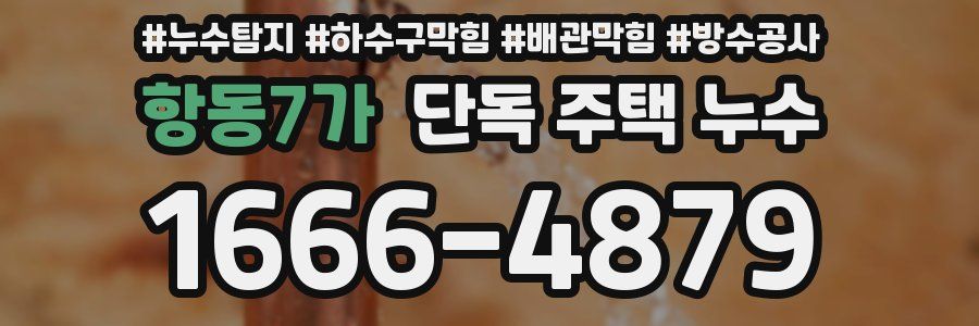 항동7가 단독 주택 누수