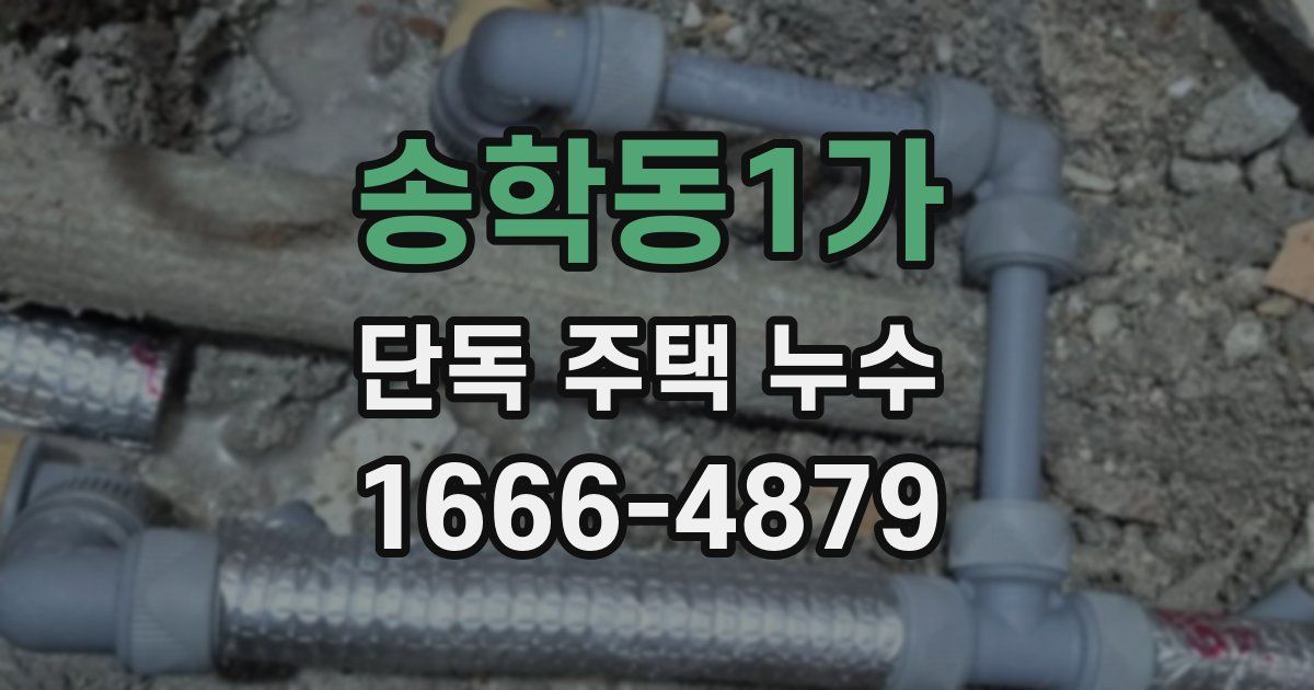 송학동1가 단독 주택 누수