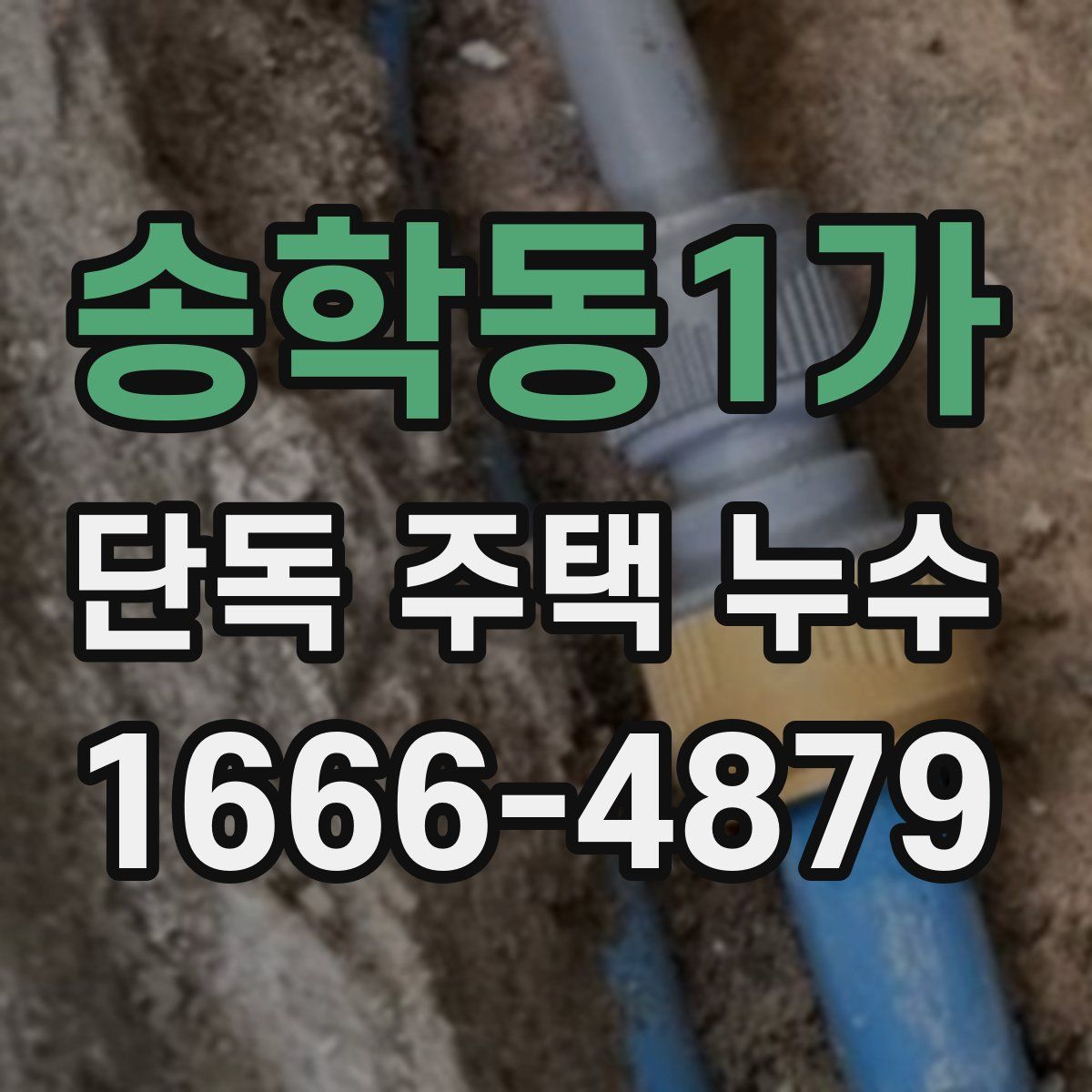 송학동1가 단독 주택 누수