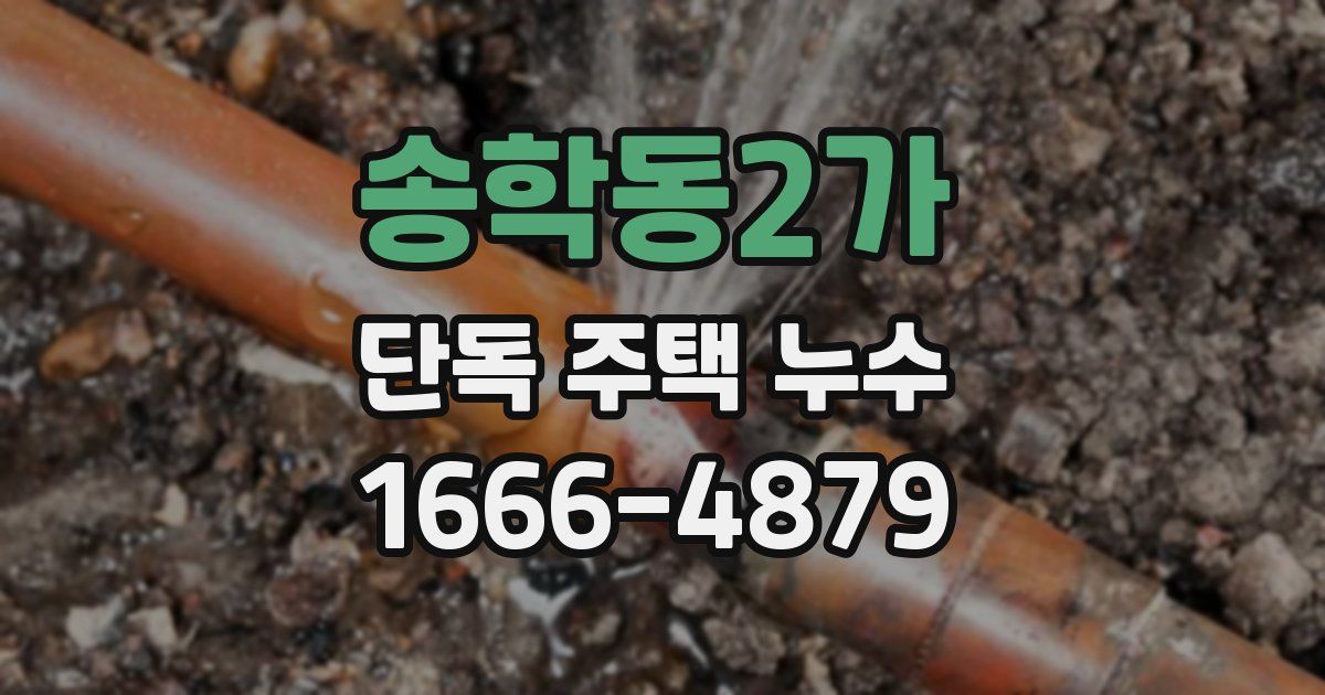 송학동2가 단독 주택 누수