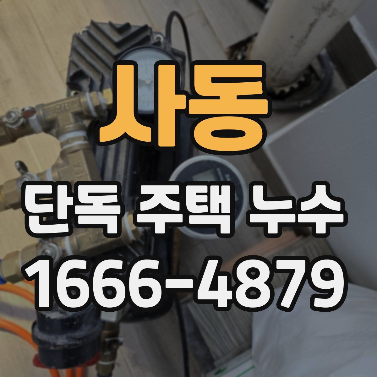 사동 단독 주택 누수
