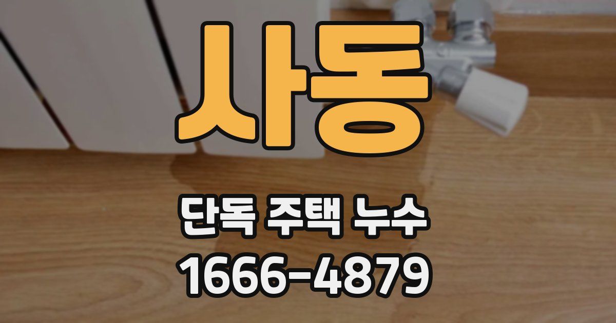 사동 단독 주택 누수