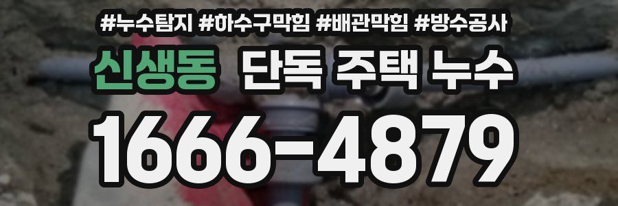신생동 단독 주택 누수