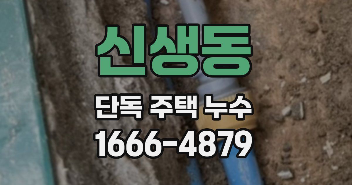 신생동 단독 주택 누수