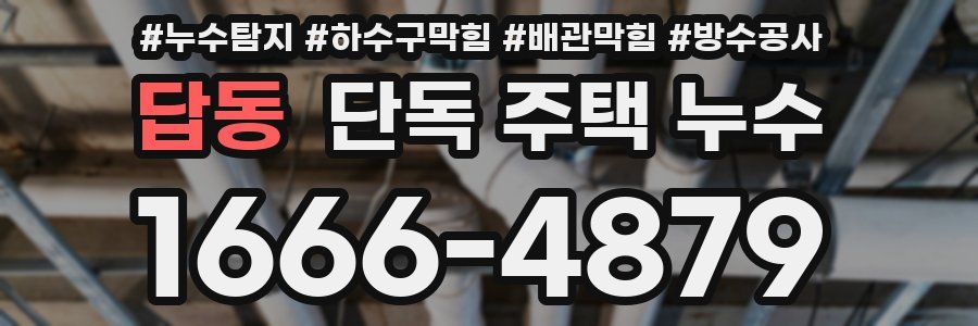 답동 단독 주택 누수