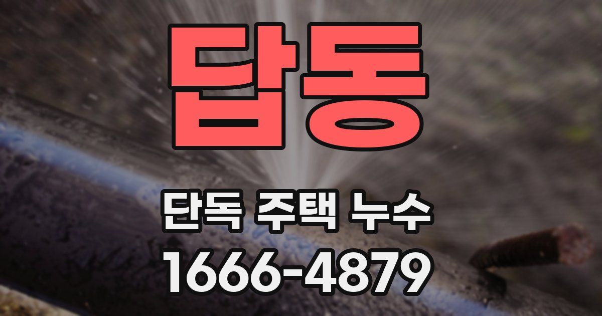 답동 단독 주택 누수