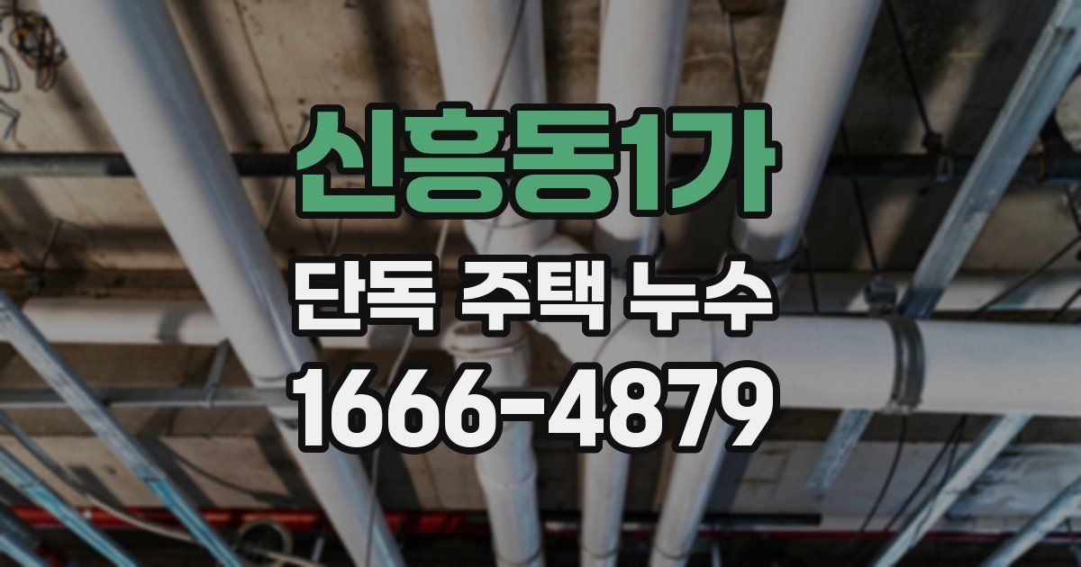 신흥동1가 단독 주택 누수