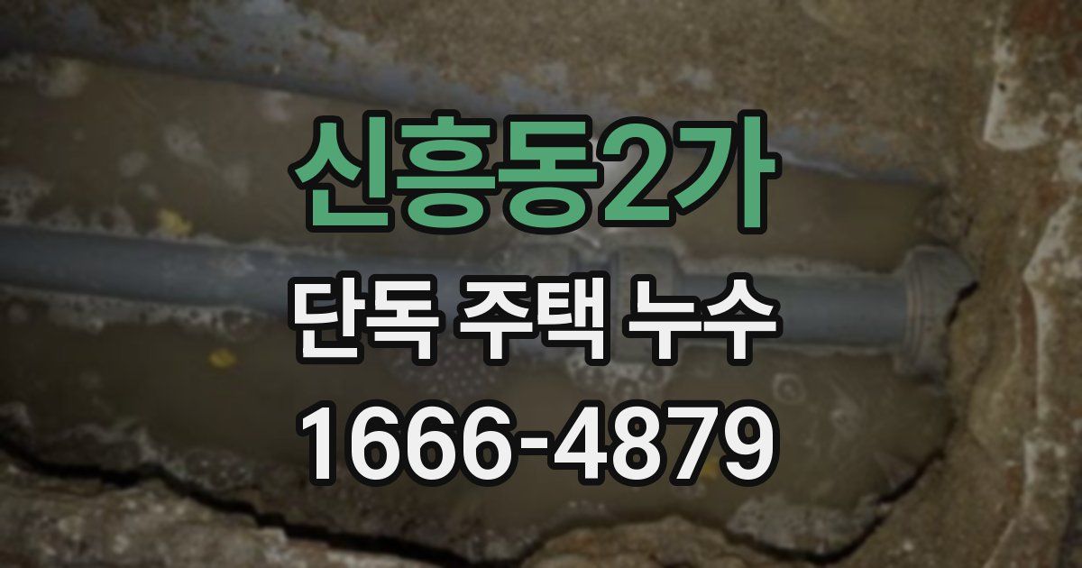 신흥동2가 단독 주택 누수