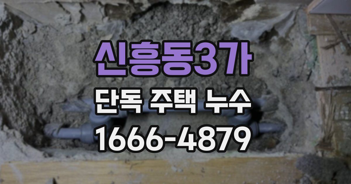 신흥동3가 단독 주택 누수