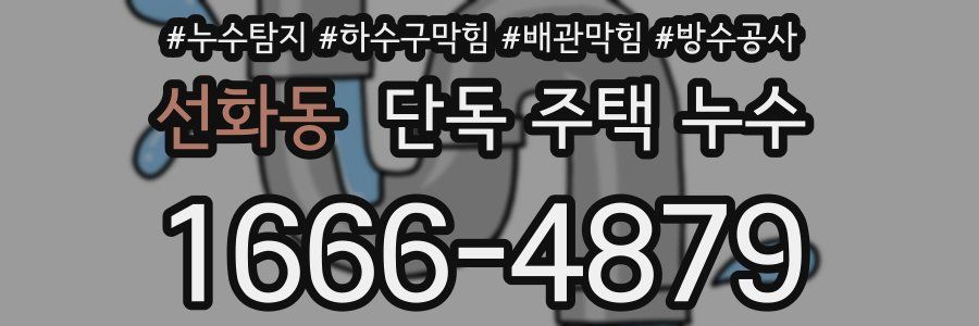 선화동 단독 주택 누수