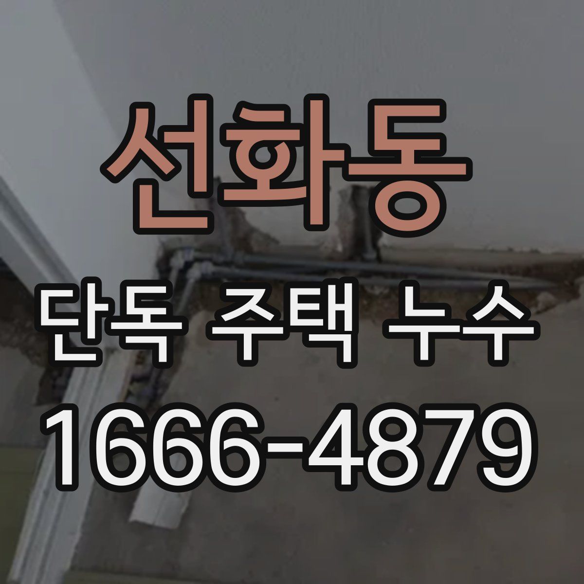 선화동 단독 주택 누수