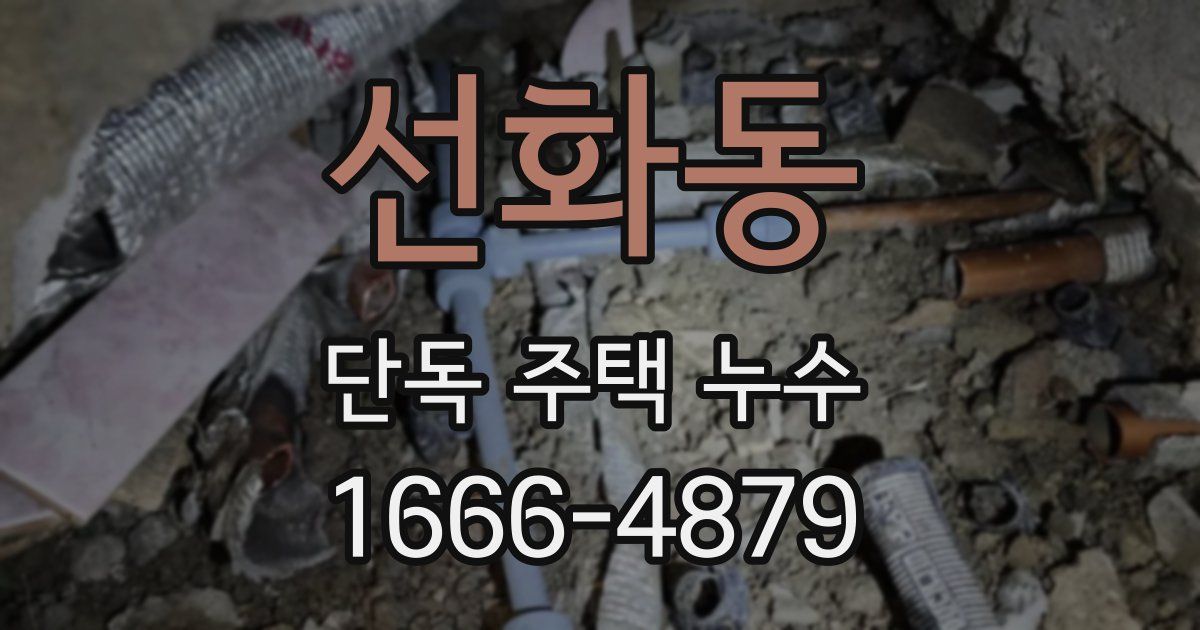 선화동 단독 주택 누수