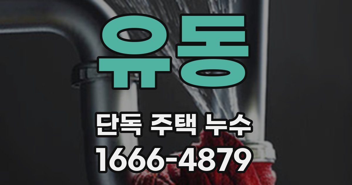 유동 단독 주택 누수