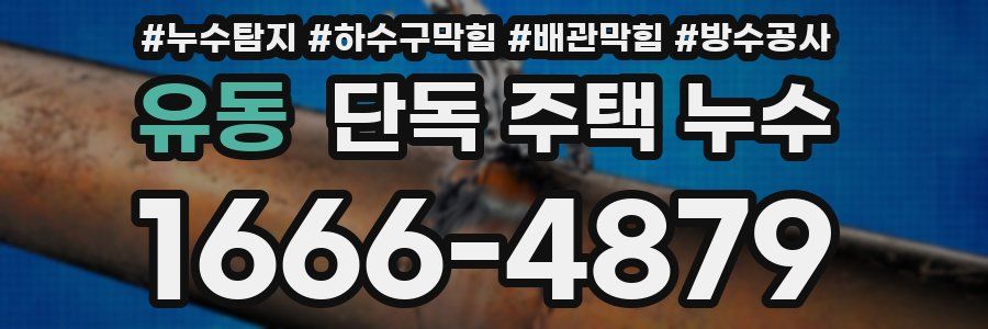 유동 단독 주택 누수