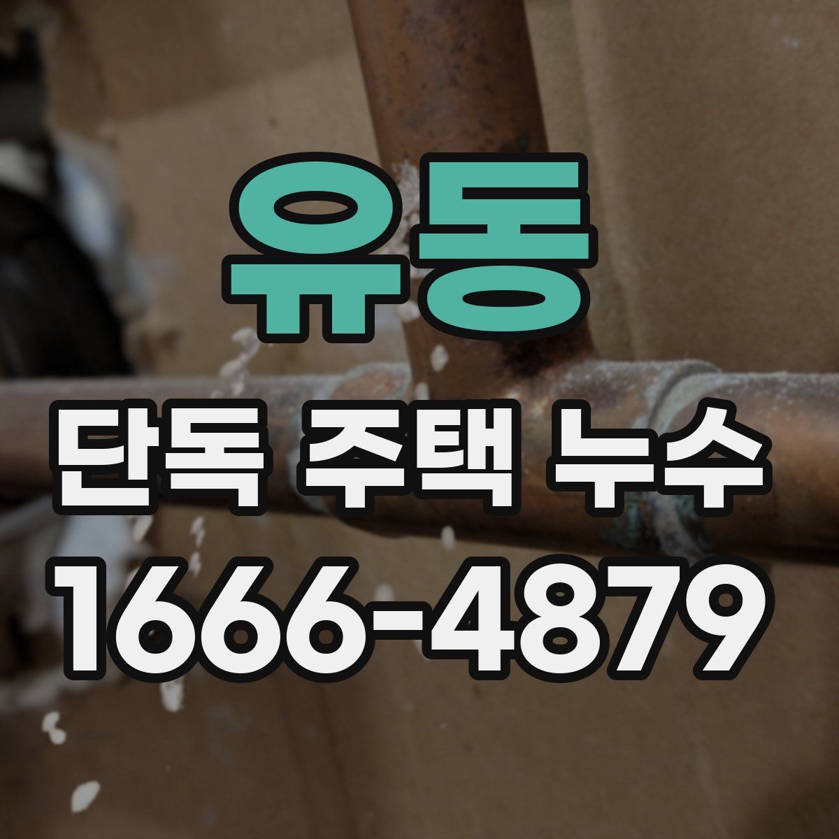유동 단독 주택 누수
