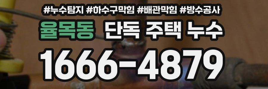 율목동 단독 주택 누수
