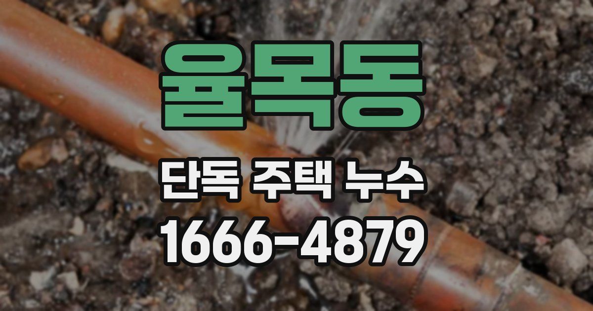 율목동 단독 주택 누수