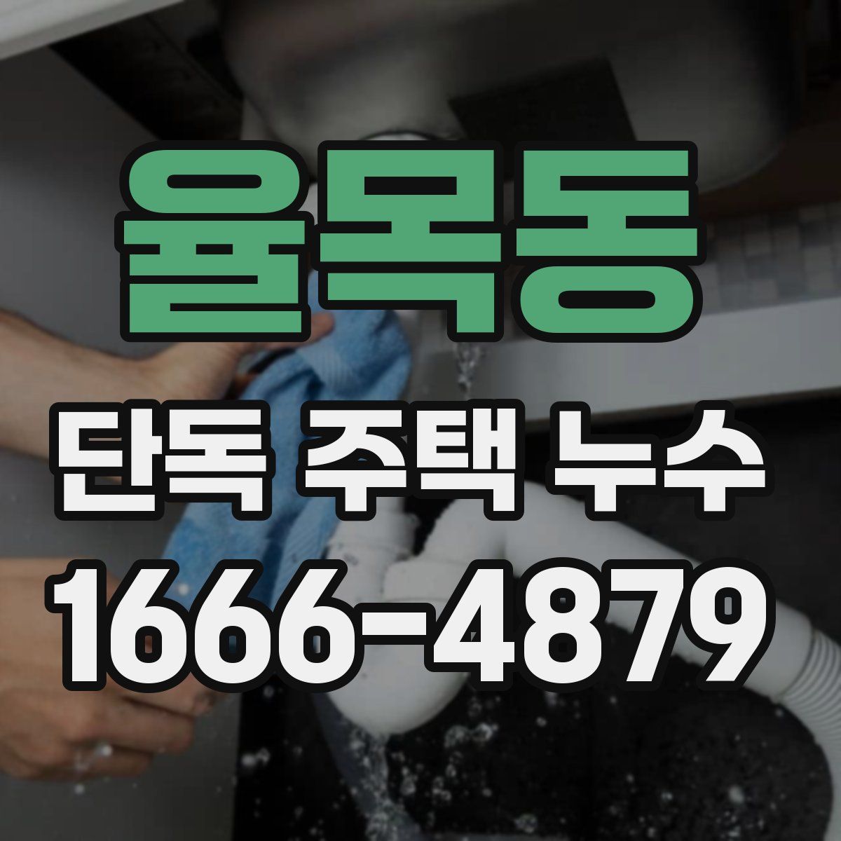 율목동 단독 주택 누수